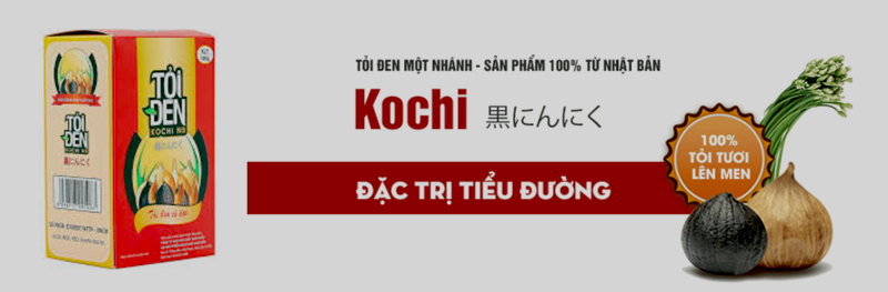 Toi-den-Kochi